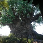 Tree of Life Tree of Life