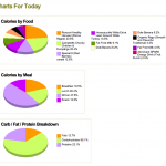 Food chart 2009-06-23